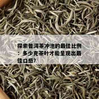 探索普洱茶冲泡的更佳比例：多少克茶叶才能呈现出更佳口感？