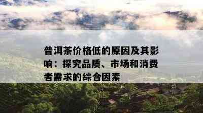 普洱茶价格低的原因及其影响：探究品质、市场和消费者需求的综合因素