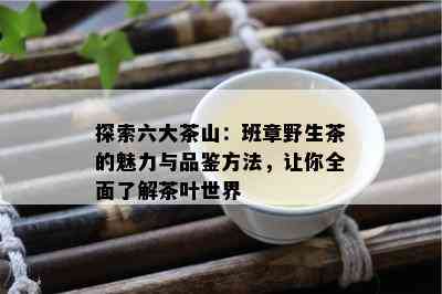 探索六大茶山：班章野生茶的魅力与品鉴方法，让你全面了解茶叶世界