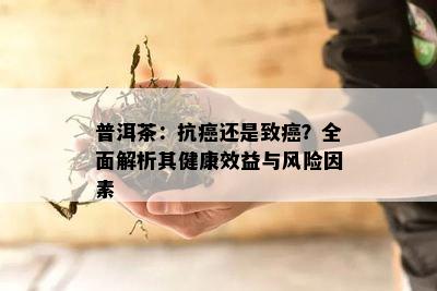 普洱茶：抗癌还是致癌？全面解析其健康效益与风险因素