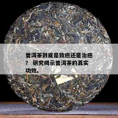 普洱茶到底是致癌还是治癌？ 研究揭示普洱茶的真实功效。