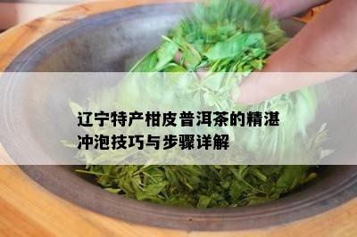 辽宁特产柑皮普洱茶的精湛冲泡技巧与步骤详解