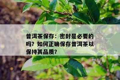 普洱茶保存：密封是必要的吗？如何正确保存普洱茶以保持其品质？