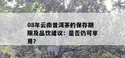 08年云南普洱茶的保存期限及品饮建议：是否仍可享用？