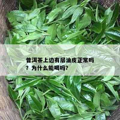 普洱茶上边有层油皮正常吗？为什么能喝吗？