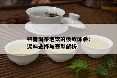 熟普洱茶泡饮的极致体验：泥料选择与壶型解析