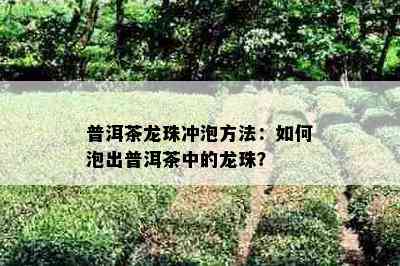 普洱茶龙珠冲泡方法：如何泡出普洱茶中的龙珠？