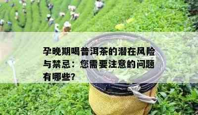 孕晚期喝普洱茶的潜在风险与禁忌：您需要注意的问题有哪些？