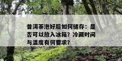 普洱茶泡好后如何储存：是否可以放入冰箱？冷藏时间与温度有何要求？