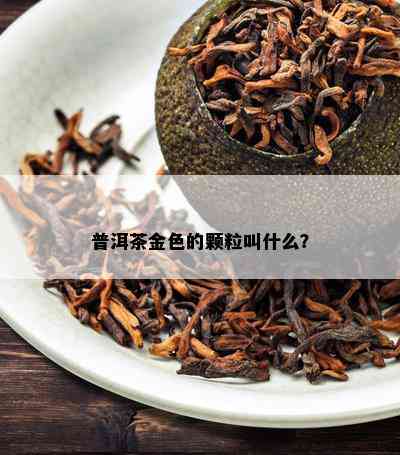 普洱茶金色的颗粒叫什么？