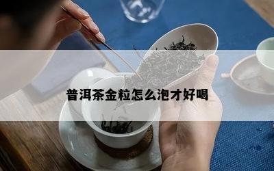 普洱茶金粒怎么泡才好喝