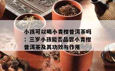 小孩可以喝小青柑普洱茶吗：三岁小孩能否品尝小青柑普洱茶及其功效与作用