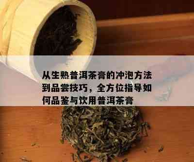 从生熟普洱茶膏的冲泡方法到品尝技巧，全方位指导如何品鉴与饮用普洱茶膏