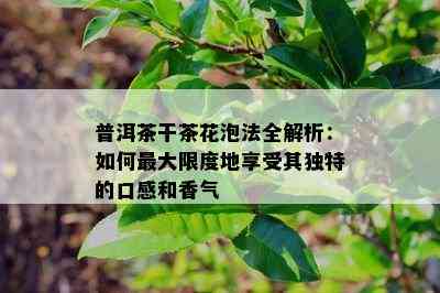 普洱茶干茶花泡法全解析：如何更大限度地享受其独特的口感和香气