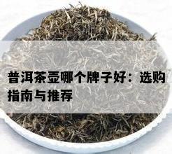 普洱茶壶哪个牌子好：选购指南与推荐