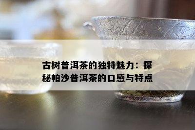 古树普洱茶的独特魅力：探秘帕沙普洱茶的口感与特点