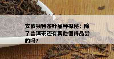 安徽独特茶叶品种探秘：除了普洱茶还有其他值得品尝的吗？