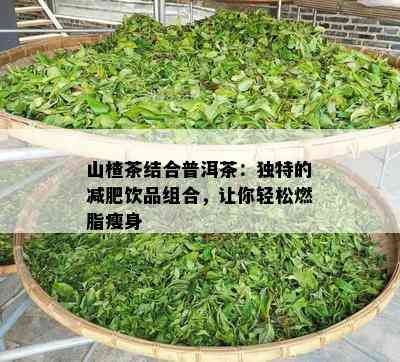 山楂茶结合普洱茶：独特的减肥饮品组合，让你轻松燃脂瘦身