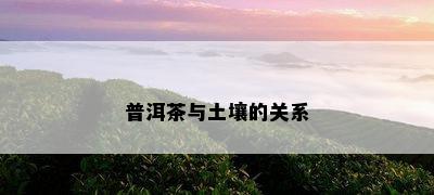 普洱茶与土壤的关系