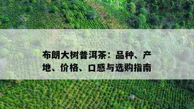 布朗大树普洱茶：品种、产地、价格、口感与选购指南