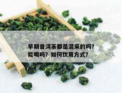 早期普洱茶都是混采的吗？能喝吗？如何饮用方式？