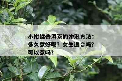 小柑橘普洱茶的冲泡方法：多久煮好喝？女生适合吗？可以煮吗？