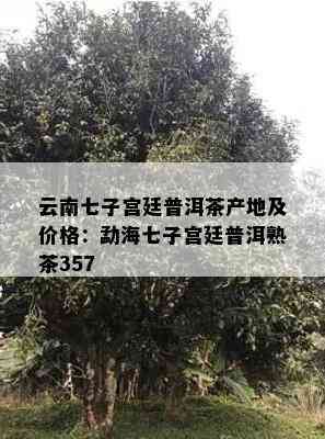 云南七子宫廷普洱茶产地及价格：勐海七子宫廷普洱熟茶357