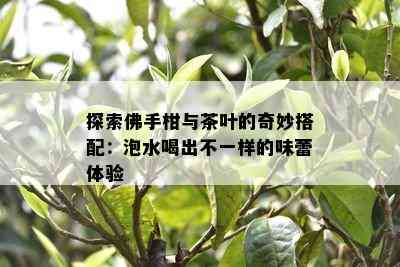 探索佛手柑与茶叶的奇妙搭配：泡水喝出不一样的味蕾体验