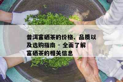 普洱富硒茶的价格、品质以及选购指南 - 全面了解富硒茶的相关信息