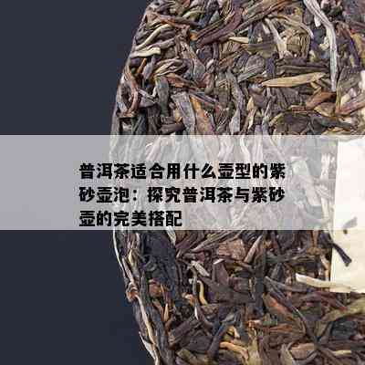 普洱茶适合用什么壶型的紫砂壶泡：探究普洱茶与紫砂壶的完美搭配