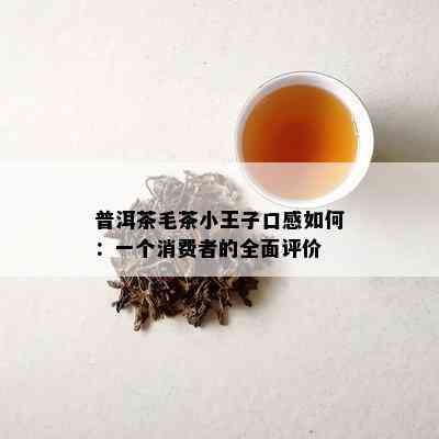 普洱茶毛茶小王子口感如何：一个消费者的全面评价