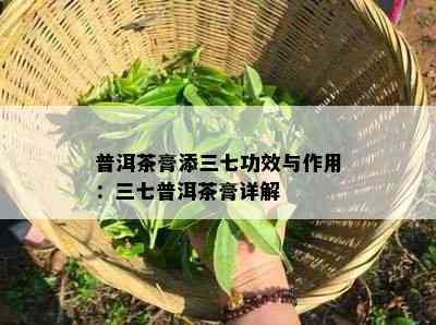 普洱茶膏添三七功效与作用：三七普洱茶膏详解