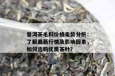 普洱茶毛料价格走势分析：了解最新行情及影响因素，如何选购优质茶叶？