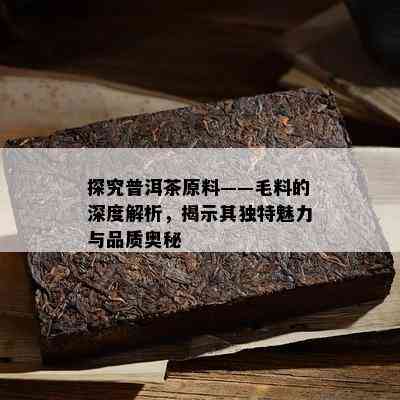 探究普洱茶原料——毛料的深度解析，揭示其独特魅力与品质奥秘