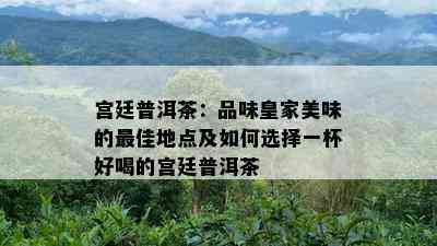 宫廷普洱茶：品味皇家美味的更佳地点及如何选择一杯好喝的宫廷普洱茶