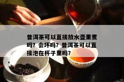 普洱茶可以直接放水壶里煮吗？会坏吗？普洱茶可以直接泡在杯子里吗？