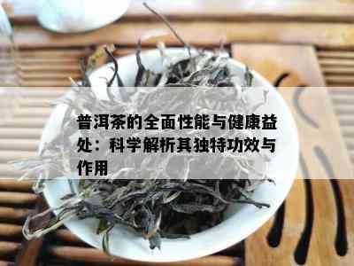 普洱茶的全面性能与健康益处：科学解析其独特功效与作用