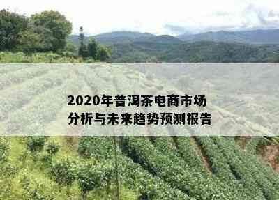 2020年普洱茶电商市场分析与未来趋势预测报告