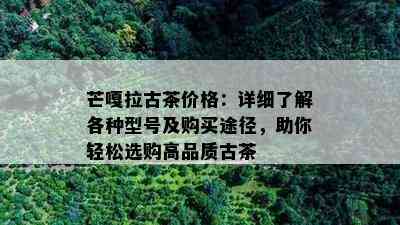 芒嘎拉古茶价格：详细了解各种型号及购买途径，助你轻松选购高品质古茶