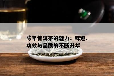 陈年普洱茶的魅力：味道、功效与品质的不断升华