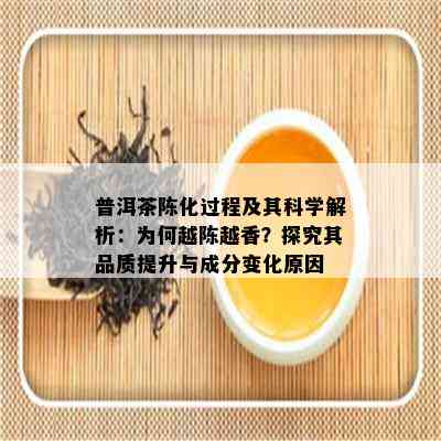 普洱茶陈化过程及其科学解析：为何越陈越香？探究其品质提升与成分变化原因