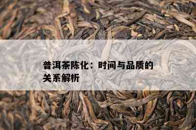 普洱茶陈化：时间与品质的关系解析