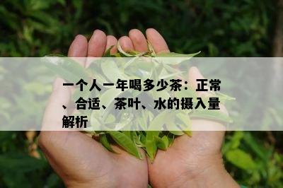 一个人一年喝多少茶：正常、合适、茶叶、水的摄入量解析