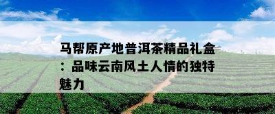 马帮原产地普洱茶精品礼盒：品味云南风土人情的独特魅力