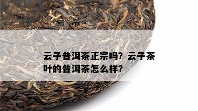 云子普洱茶正宗吗？云子茶叶的普洱茶怎么样？