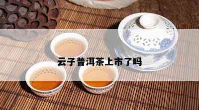 云子普洱茶上市了吗