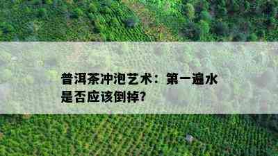 普洱茶冲泡艺术：之一遍水是否应该倒掉？