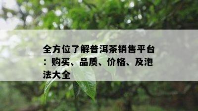 全方位了解普洱茶销售平台：购买、品质、价格、及泡法大全