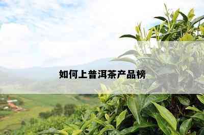 如何上普洱茶产品榜