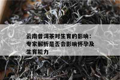 云南普洱茶对生育的影响：专家解析是否会影响怀孕及生育能力